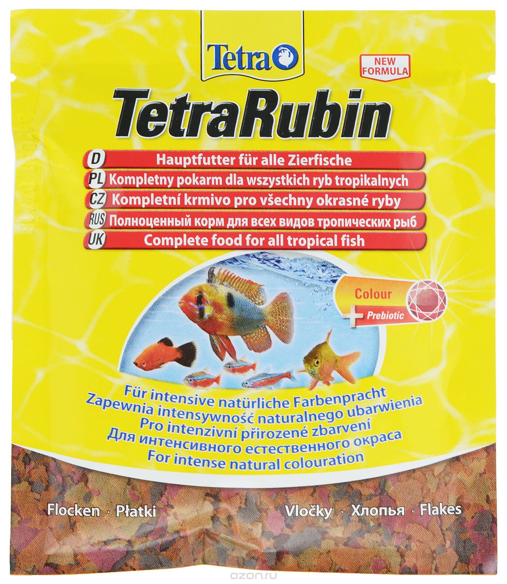  Tetra 